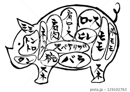 筆絵　豚肉の部位と名称 129102763