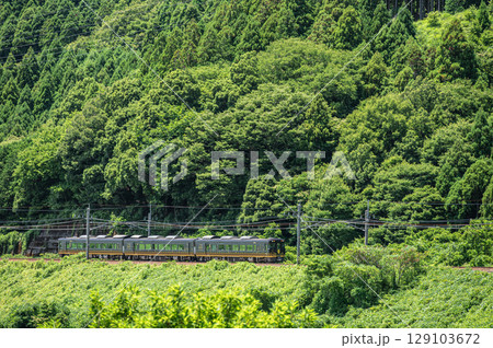 湖西線を行くJR西日本観光列車　はなあかり　滋賀県高島市マキノ町 129103672