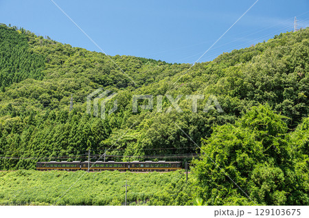 湖西線を行くJR西日本観光列車　はなあかり　滋賀県高島市マキノ町 129103675