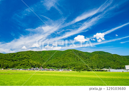 マキノ町の田園風景 滋賀県高島市 マキノ町の田園風景 滋賀県高島市 129103680