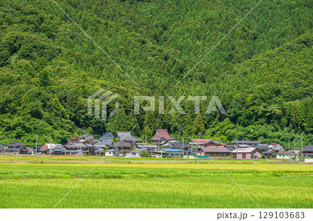 マキノ町の田園風景　滋賀県高島市 129103683