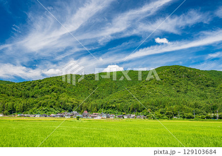マキノ町の田園風景 滋賀県高島市 マキノ町の田園風景 滋賀県高島市 129103684