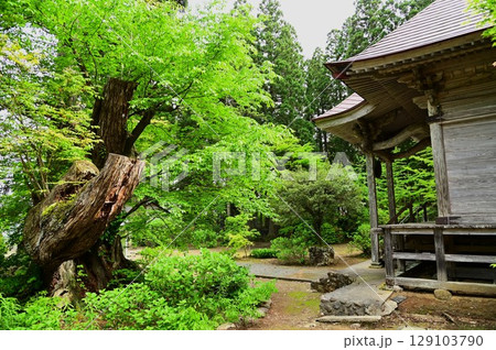 神仏習合の名残り円万寺観音堂と八坂神社 129103790