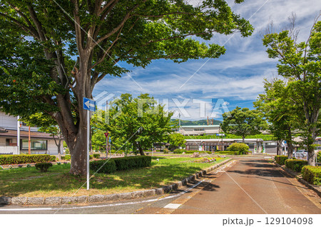 湖西線マキノ駅前の並木道　滋賀県高島市マキノ町 129104098
