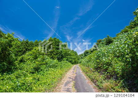 マキノ町の里山風景　滋賀県高島市 129104104