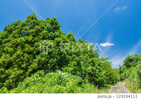 マキノ町の里山風景　滋賀県高島市 129104111