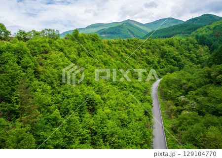 信州奈川の新緑風景 129104770