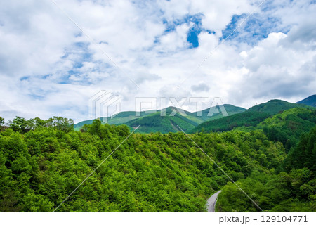 信州奈川の新緑風景 信州奈川の新緑風景 129104771