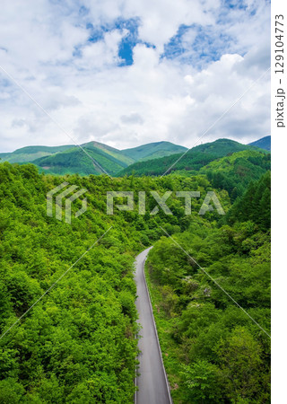 信州奈川の新緑風景 129104773