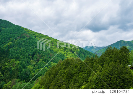 信州奈川の新緑風景 信州奈川の新緑風景 129104784