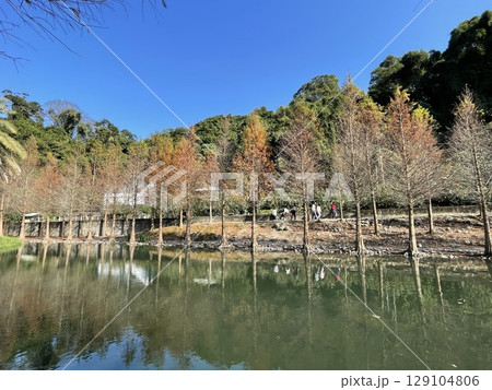 景色 風景 新緑 129104806