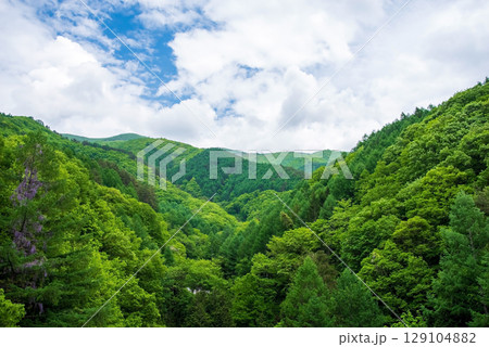 信州奈川の新緑風景 信州奈川の新緑風景 129104882