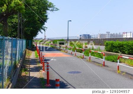 千葉県市川市旧江戸川沿いの道2025年7月 129104957