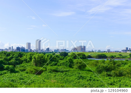 千葉県市川市江戸川2025年7月 129104960