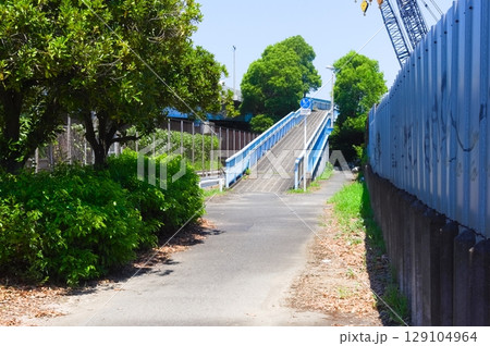 千葉県市川市市川大橋歩道橋2025年7月 129104964