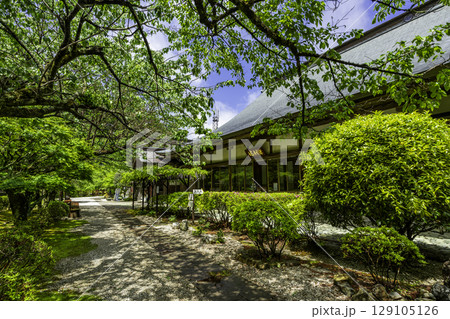 四国八十八箇所21番　太龍寺　本坊　徳島県阿南市 129105126