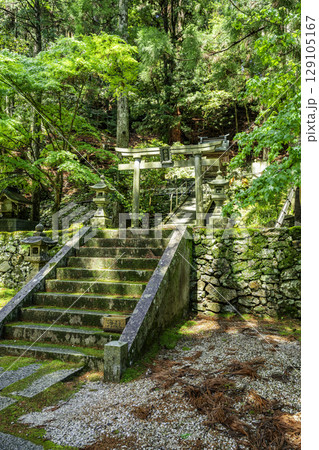 四国八十八箇所21番 太龍寺 鎮守社 徳島県阿南市 四国八十八箇所21番 太龍寺 鎮守社 徳島県阿南市 129105167