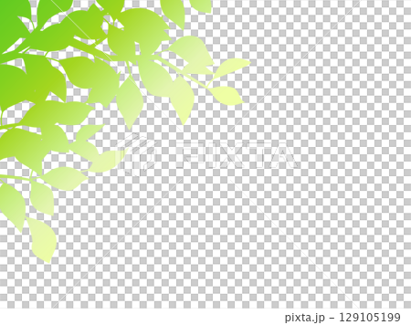 An illustration expressing the light and shadow of leaves with a green gradation 129105199