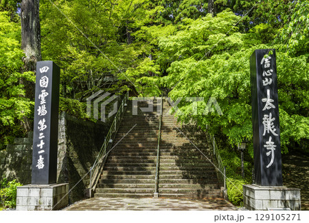 四国八十八箇所21番 太龍寺 石段 徳島県阿南市 四国八十八箇所21番 太龍寺 石段 徳島県阿南市 129105271