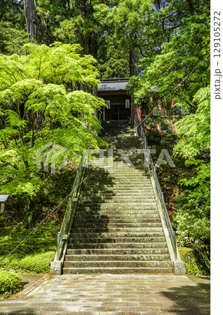 四国八十八箇所21番 太龍寺 石段 徳島県阿南市 四国八十八箇所21番 太龍寺 石段 徳島県阿南市 129105272