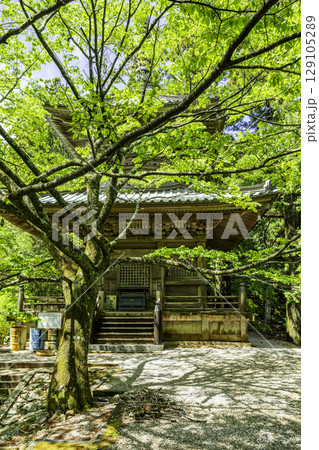 四国八十八箇所21番　太龍寺　多宝塔　徳島県阿南市 129105289
