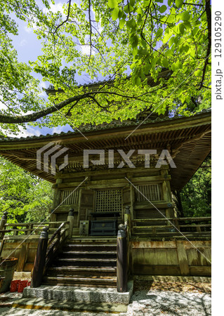 四国八十八箇所21番 太龍寺 多宝塔 徳島県阿南市 四国八十八箇所21番 太龍寺 多宝塔 徳島県阿南市 129105290