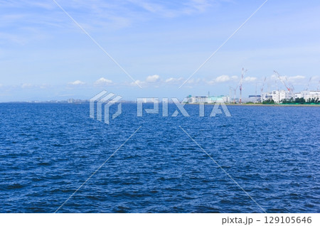 千葉県習志野市茜浜緑地周辺2025年7月 129105646