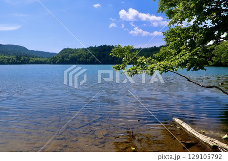 神秘の湖  オンネトー（北海道・足寄郡足寄町） 129105792