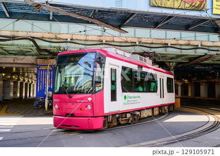 東京さくらトラム(都電荒川線) 王子駅前駅~飛鳥山駅 併用軌道 東京さくらトラム(都電荒川線) 王子駅前駅~飛鳥山駅 併用軌道 129105971