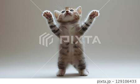 ねこ 129106433