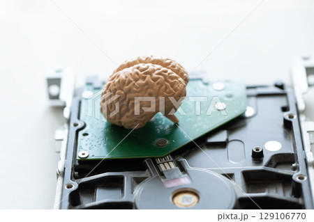ハードディスクの記録媒体の上にある脳のモデル ハードディスクの記録媒体の上にある脳のモデル 129106770