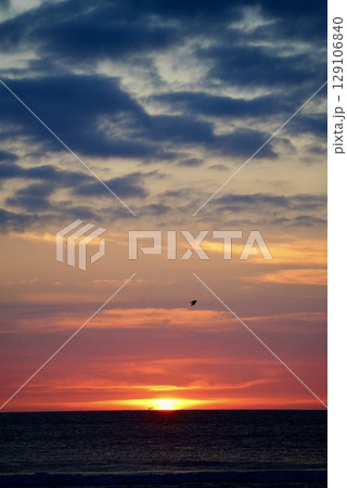 千里浜なぎさドライブウェイの美しい海岸の夕日 129106840