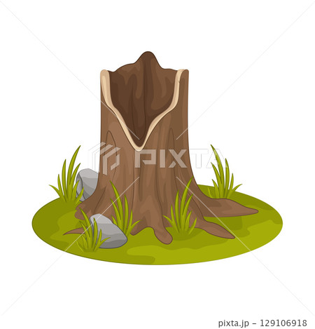 Illustration of Tree Stump  129106918