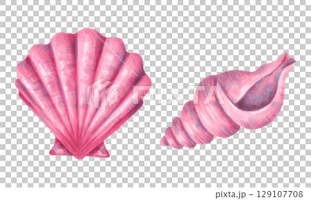 Scallop shell and spiral conch. Hand drawn shell clip art, isolated. Watercolor and marker illustration. Wild underwater life. Shell for menu, children's room, tourism, guidebook. Exotic ocean fauna. 129107708