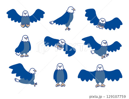 鷹や鷲、鳶のような鳥の色々なポーズのイラストセット 鷹や鷲、鳶のような鳥の色々なポーズのイラストセット 129107759