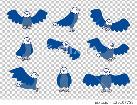 鷹や鷲、鳶のような鳥の色々なポーズのイラストセット 鷹や鷲、鳶のような鳥の色々なポーズのイラストセット 129107759