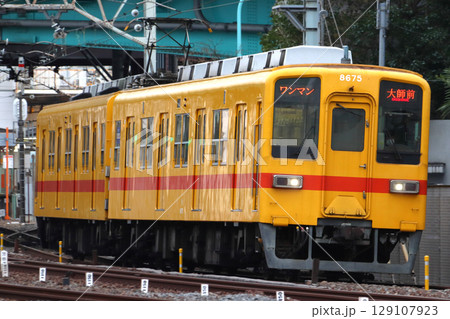 ［TS］東武大師線8000系電車（リバイバル塗装-黄色） 129107923