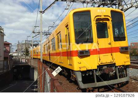 ［TS］東武大師線8000系電車（リバイバル塗装-黄色） 129107926