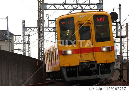 ［TS］東武大師線8000系電車（リバイバル塗装-黄色） 129107927