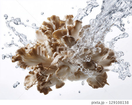 新鮮な野菜と果物に水しぶきがかかる瞬間 新鮮な野菜と果物に水しぶきがかかる瞬間 129108138