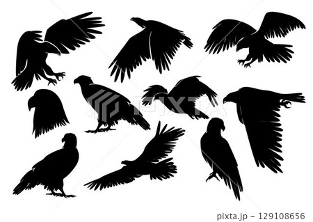 Eagle Silhouette. Black and white Vector Illustration Eagle Silhouette. Black and white Vector Illustration 129108656