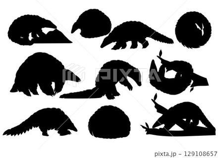 Pangolin Silhouette. Black and white Vector Illustration 129108657