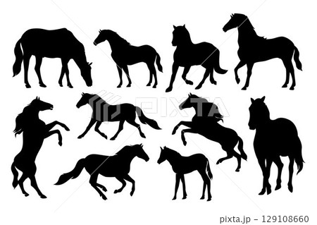 Horse Silhouette. Black and white Vector Illustration 129108660
