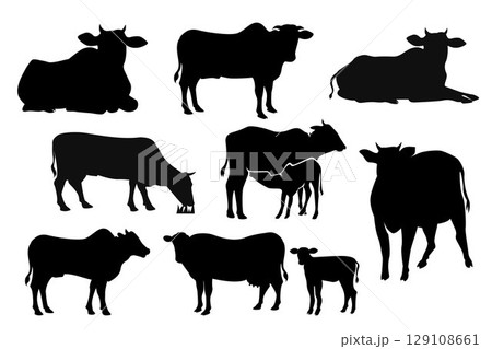 Cow Silhouette. Black and white Vector Illustration Cow Silhouette. Black and white Vector Illustration 129108661