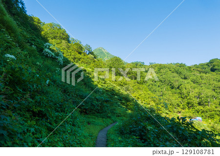 夏の妙高山登山（燕登山道 北地獄谷：正面に妙高山山頂） 129108781