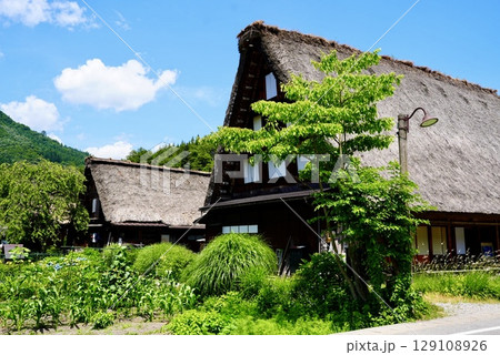 白川郷の美しい夏の合掌造の風景 白川郷の美しい夏の合掌造の風景 129108926