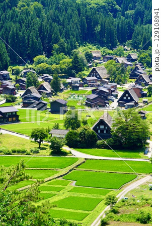 白川郷の美しい夏の合掌造の風景 白川郷の美しい夏の合掌造の風景 129108941