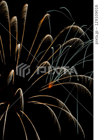 夜を飾る大花火戸田橋 夜を飾る大花火戸田橋 129109016