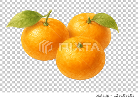 みかん3個の水彩イラスト(切り抜き) みかん3個の水彩イラスト(切り抜き) 129109103