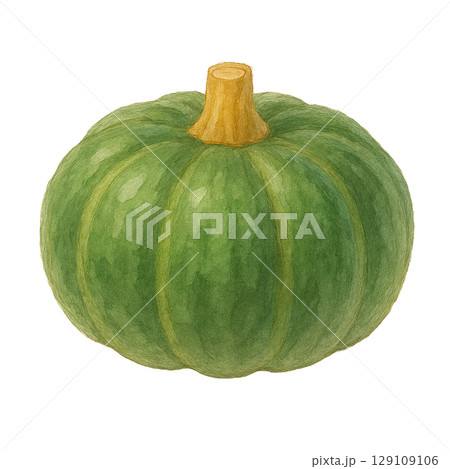 丸ごとのかぼちゃの水彩イラスト（切り抜き） 129109106